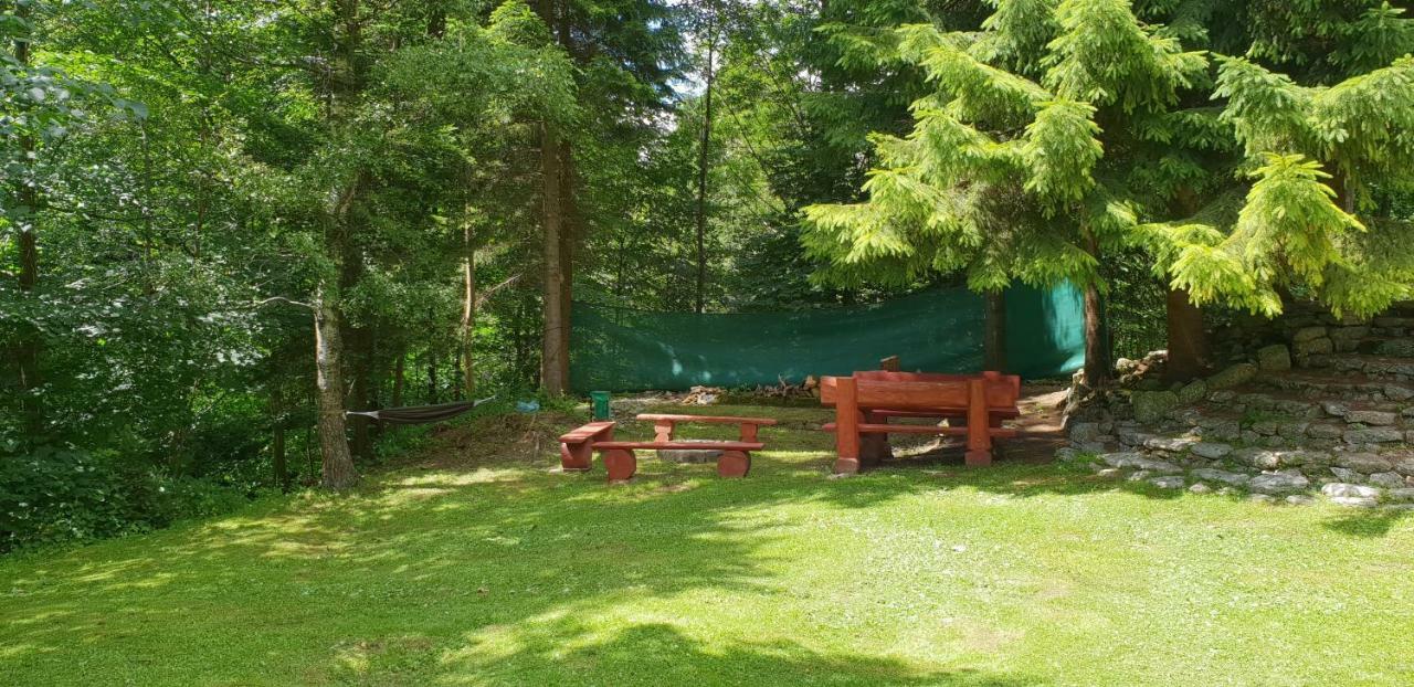 U Sikory Apartment Miedzygorze