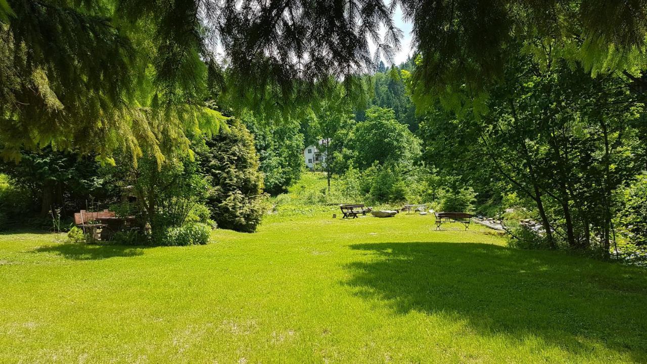 U Sikory Apartment Miedzygorze
